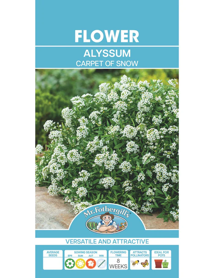 Seed Alyssum Carpet of Snow 0.416g MFG013