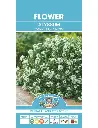 Seed Alyssum Carpet of Snow 0.416g MFG013