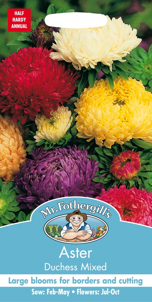 Seed Aster Duchess Mixed 0.371g MFG040