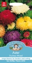 Seed Aster Duchess Mixed 0.371g MFG040