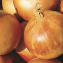 Seed Onion Gladalan Brwn 25g Terranova