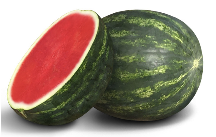 Seed Watermelon Candy Red 25g Terranova