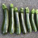 Seed Zucchini Black Mamba F1 500sds 7.5g Terranova