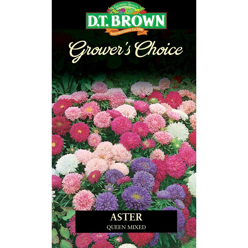 Seed Aster Queen Mixd 0.681g MFG2339