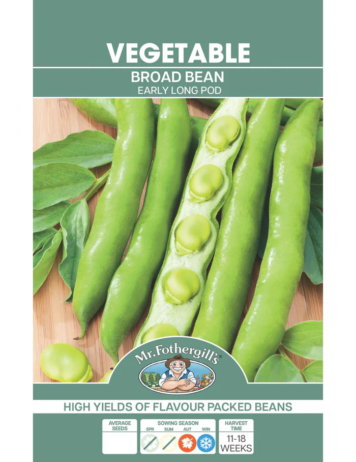 Seed Bean Broad ELP 25g MFG2121