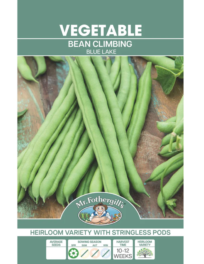 Seed Bean Climbing BL 20g MFG2808