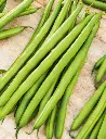 Seed Bean Dwarf Snap BP60g MFG6074