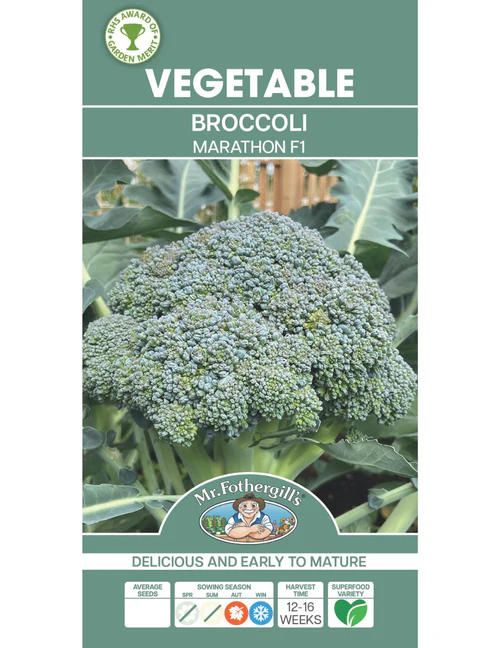 Seed Broccoli Marathon F1 0.277g MFG5339