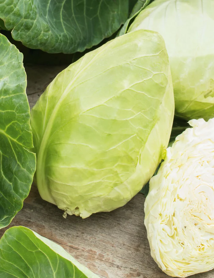 Seed Cabbage Sugarloaf 2.173g MFG2216