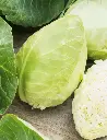 Seed Cabbage Sugarloaf 2.173g MFG2216
