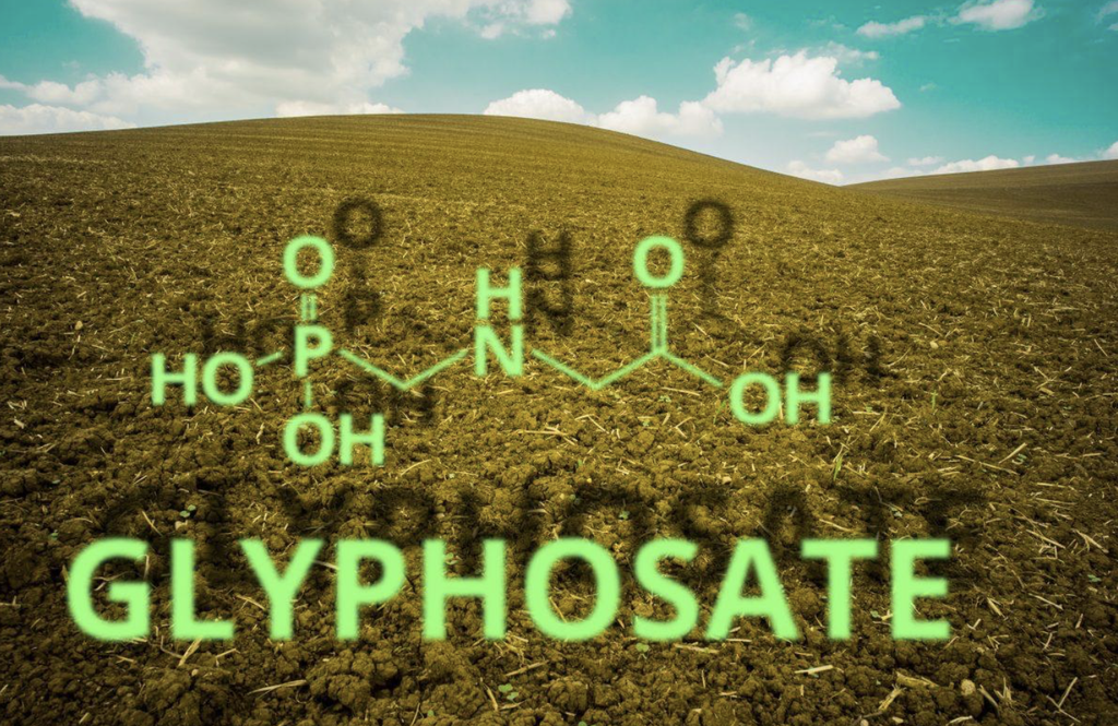 Glyphosate 450 Acid 1lt