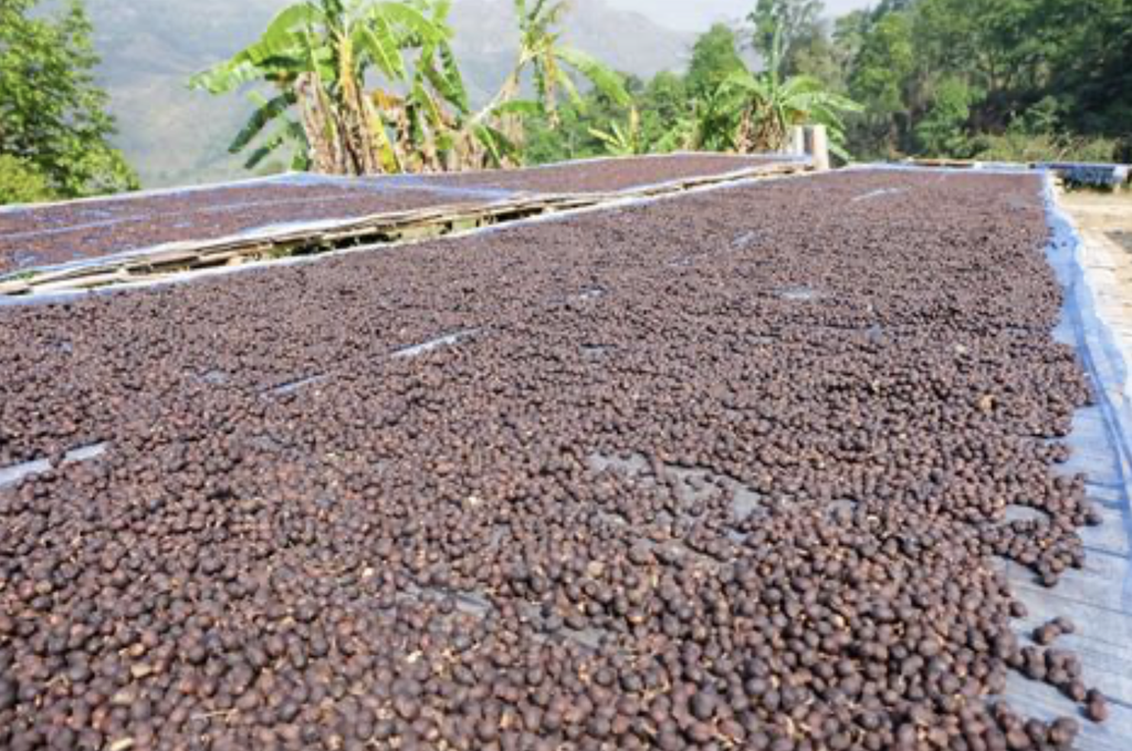 Coffee Film Blue PE 2.4m*180g