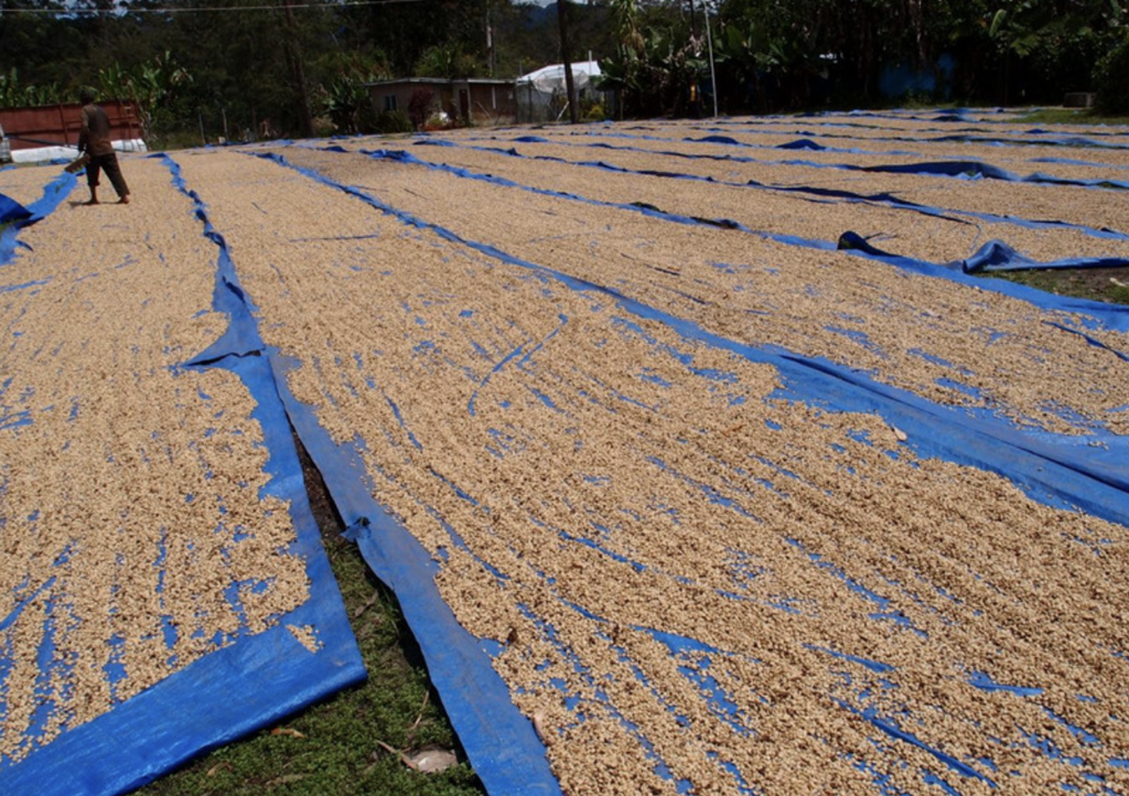 Coffee Film Blue PE 2.4m*180g