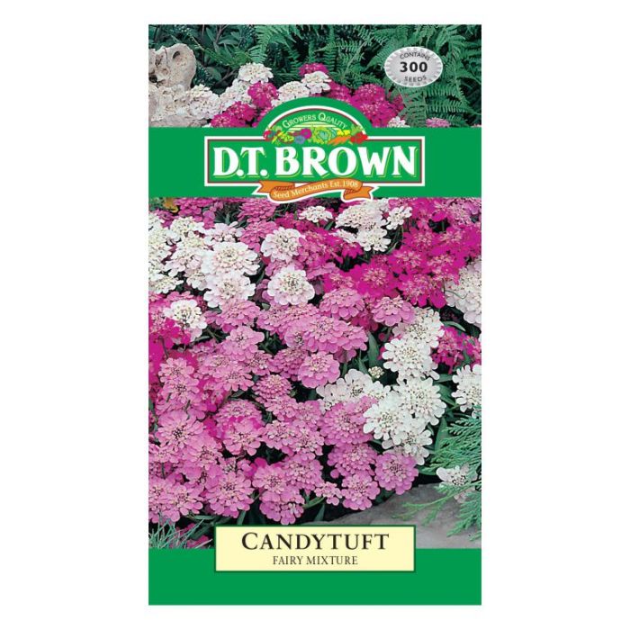 Seed Candytuft Fairy Mixure 0.719g MFG1507