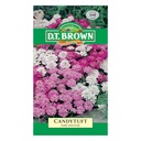 Seed Candytuft Fairy Mixure 0.719g MFG1507