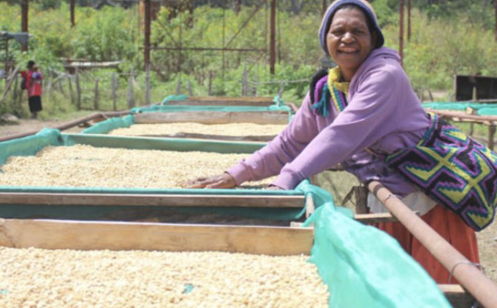 Coffee Film PE Grn 2.4m*450gsm