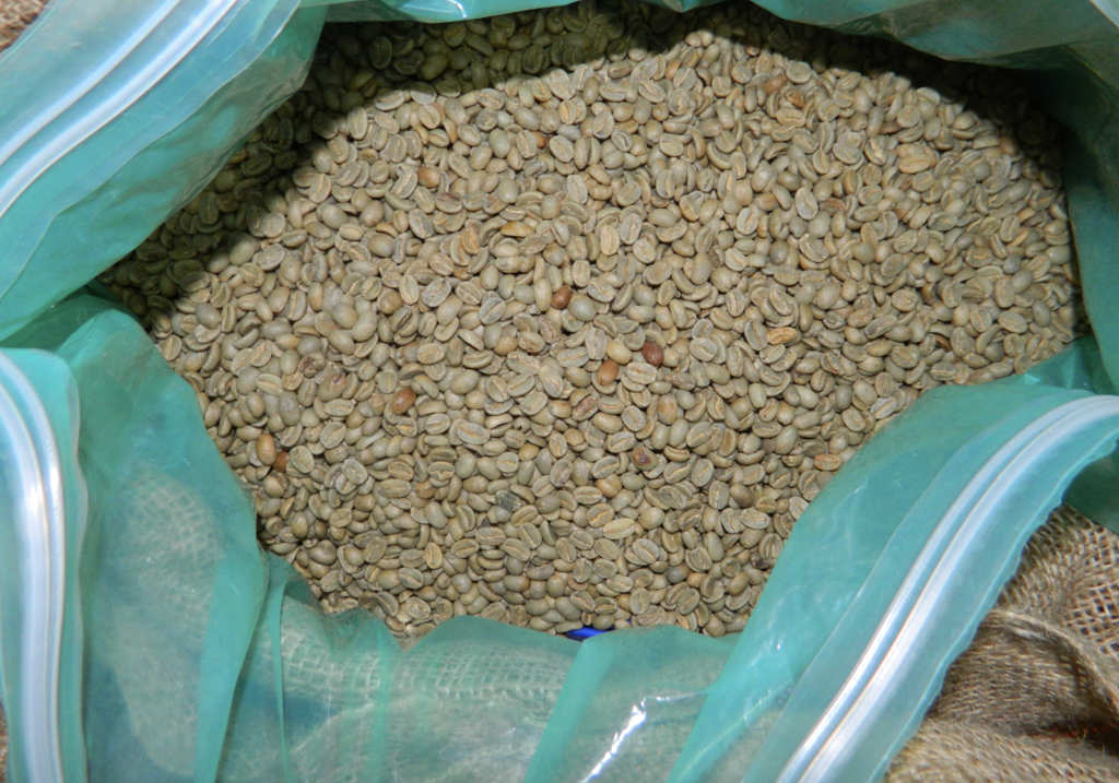 Coffee Film PE Grn 2.4m*450gsm