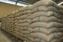 Sack Coffee V.O.T 60kg Single Layer