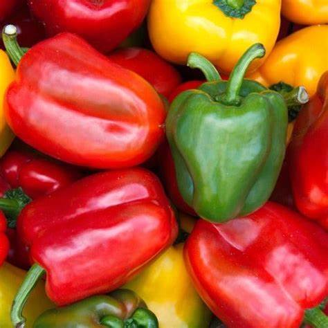 Seed Capsicum Swt Delight 0.25g MFG2207
