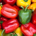 Seed Capsicum Swt Delight 0.25g MFG2207