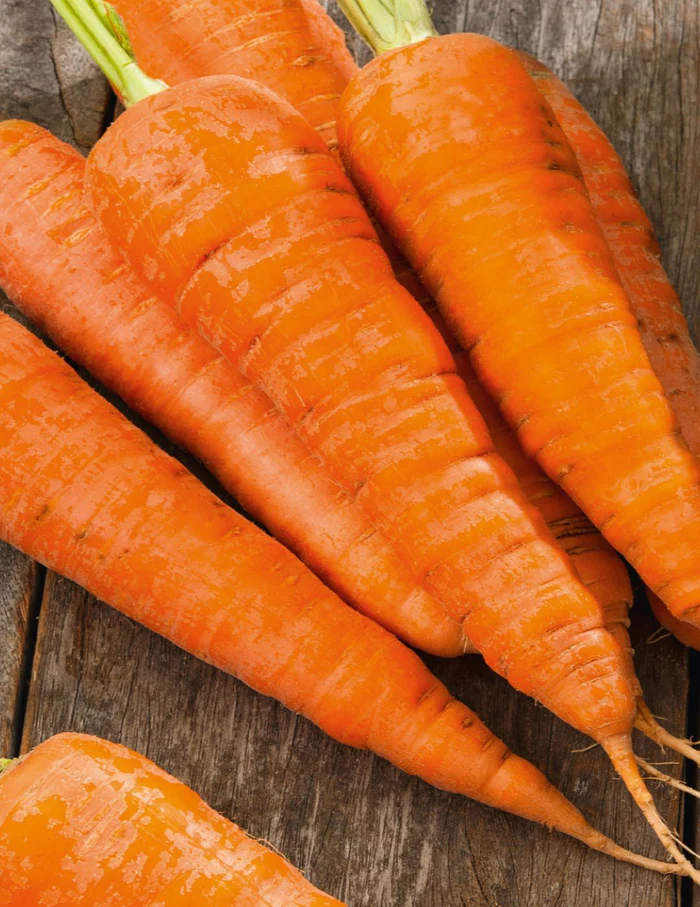 Seed Carrot Topweight Imprvd 0.607g MFG5687