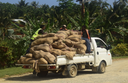Sack Copra (V.O.T) 50kg