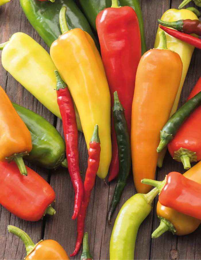 Seed Chilli Hot Mix 0.5g MFG2323