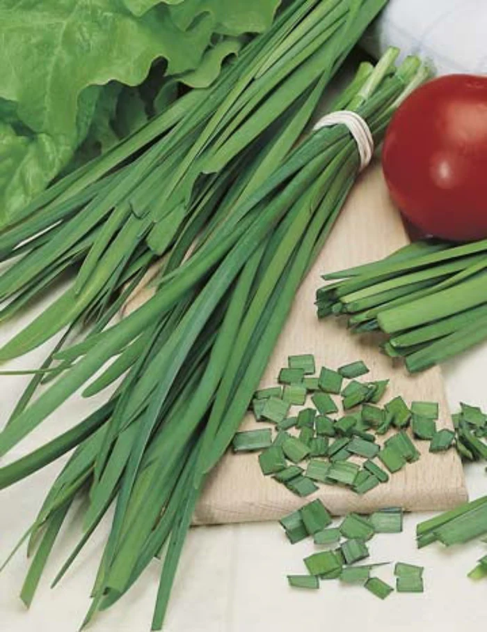 Seed Chives Garlic 0.569g MFG2314
