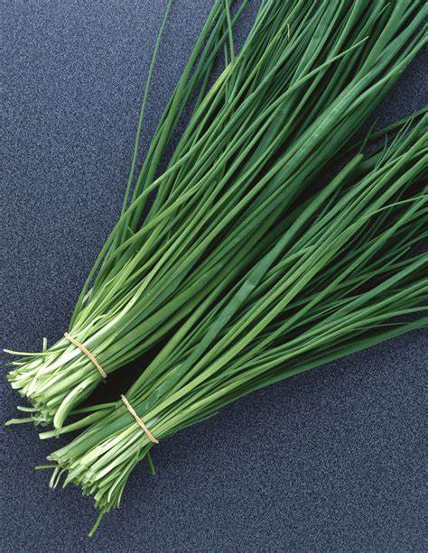 Seed Chives1.081g MFG2705