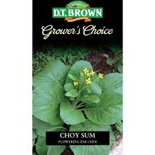 Seed Choy Sum'Flowering Pak Choi'0.658g MFG2324