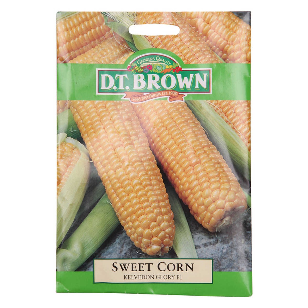Seed CornSweet kelvedon 10g MFG2994