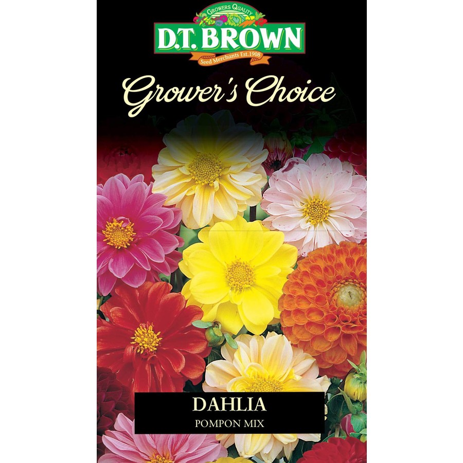Seed Dahlia Pompon Mix 0.238g MFG2341