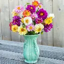 Seed Dahlia Pompon Mix 0.238g MFG2341