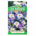 Seed Daisy Swan River Mixed 0.088g MFG2290