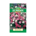 Seed Dianthus Spring Beauty 0.175g MFG155