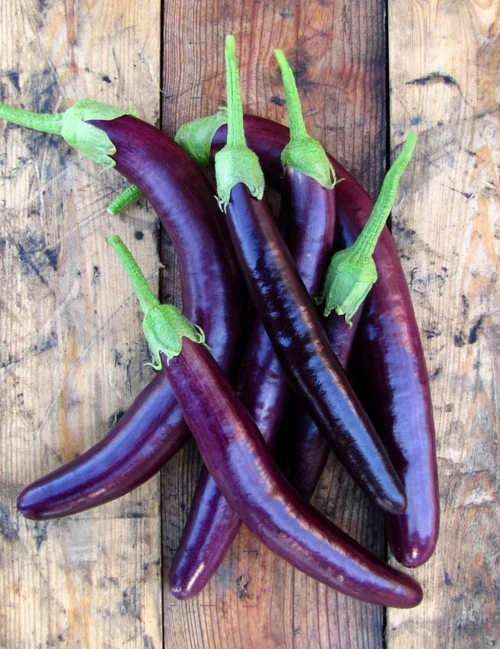 Seed Eggplant Long Purple 0.364g MFG2325