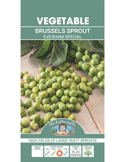 Seed Evesham Brussels Sprt 1.968g MFG2021