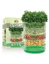 Seed Kitchen Sprouter Propag.MFG 1403