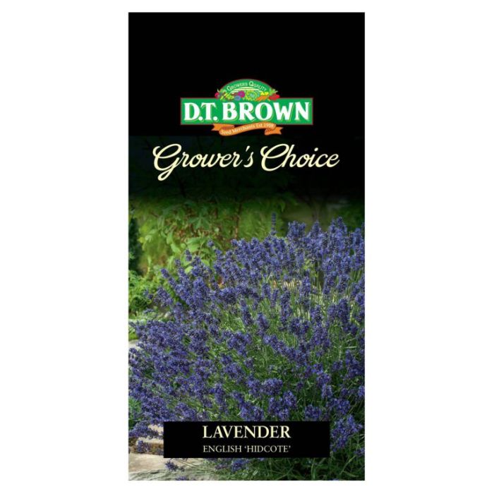 Seed Lavender English Hidcote 0.097g MFG2343