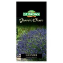 Seed Lavender English Hidcote 0.097g MFG2343