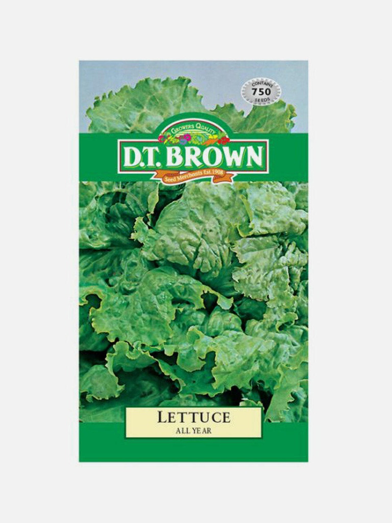 Seed Lettuce All Year 0.794g MFG2223