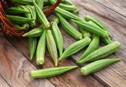 Seed Okra Lady's Finger 3.056g MFG2226