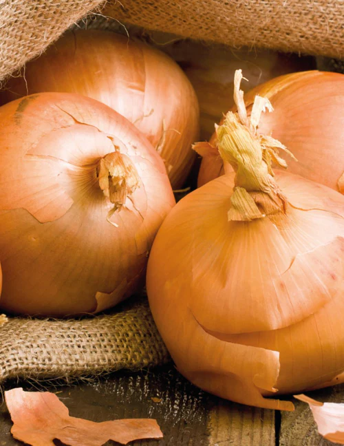 Seed Onion H.R.Brown 2.074g MFG5242