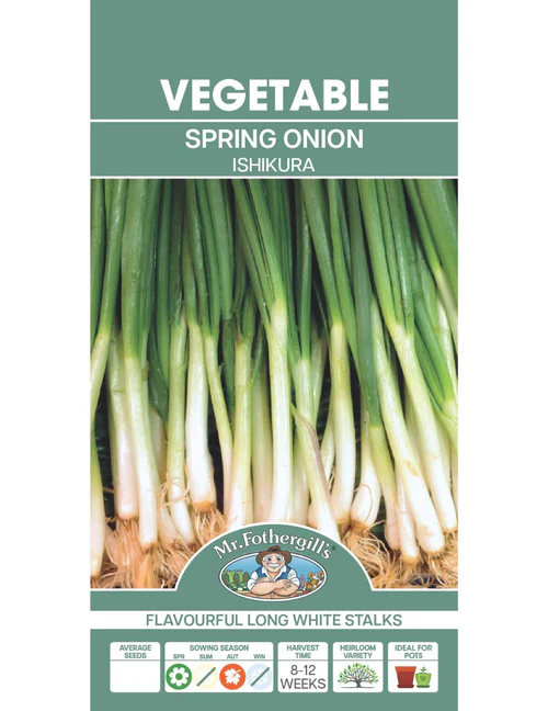 Seed Onion S/Bunch Ish.1.216g MFG5726