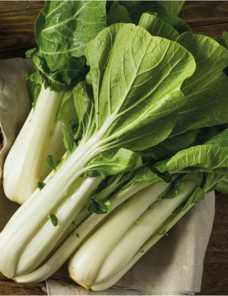 Seed Pak Choi 1.184g MFG2230