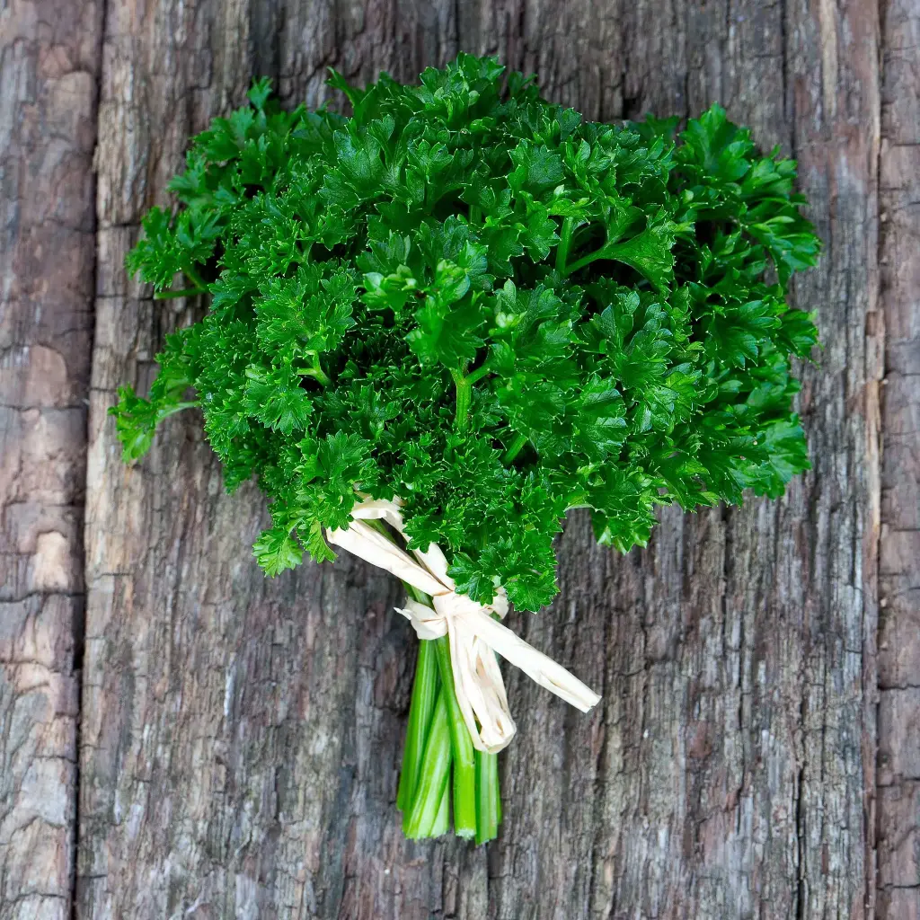 Seed Parsley Curled 1.755g MFG2231
