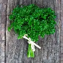 Seed Parsley Curled 1.755g MFG2231