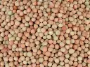 Seed Pea Snow Pea BP180g MFG6076