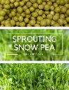 Seed Pea Snow Sprout 50g MFG2319