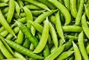 Seed Pea Sugarsnap BP180g MFG6077
